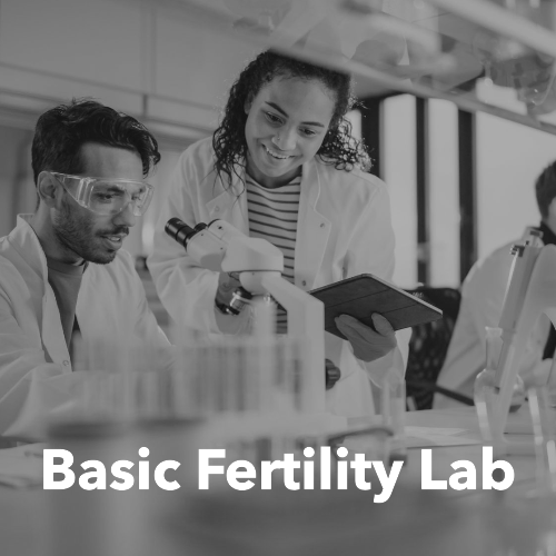 Basic Fertility Lab Panel