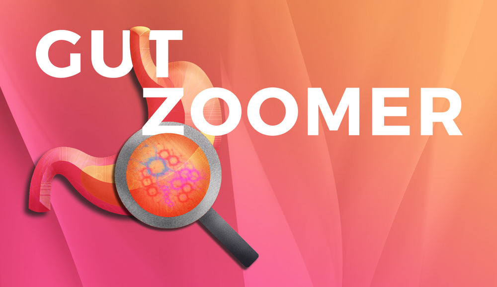 Gut Zoomer Test
